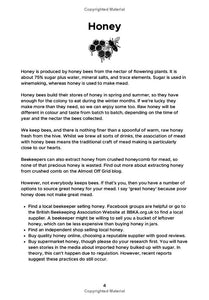 Almost Off Grid Mead Making Journal - Almost Off Grid