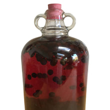 Load image into Gallery viewer, Sloe Gin Kit with Liqueurs Journal (no bucket) - Almost Off Grid
