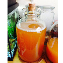 Load image into Gallery viewer, Mangrove Jack&#39;s Cider Yeast M02 plus Mead Nutrient
