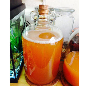 Mangrove Jack's Cider Yeast M02 plus Mead Nutrient