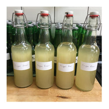 Load image into Gallery viewer, Mad Millie Fermenting Cultures Set with Muslin &amp; Notebook to make Kefir, Yogurt, Sourdough and Ginger Beer - Almost Off Grid
