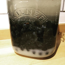 Load image into Gallery viewer, Sloe Gin Kit with Liqueurs Journal (no bucket) - Almost Off Grid
